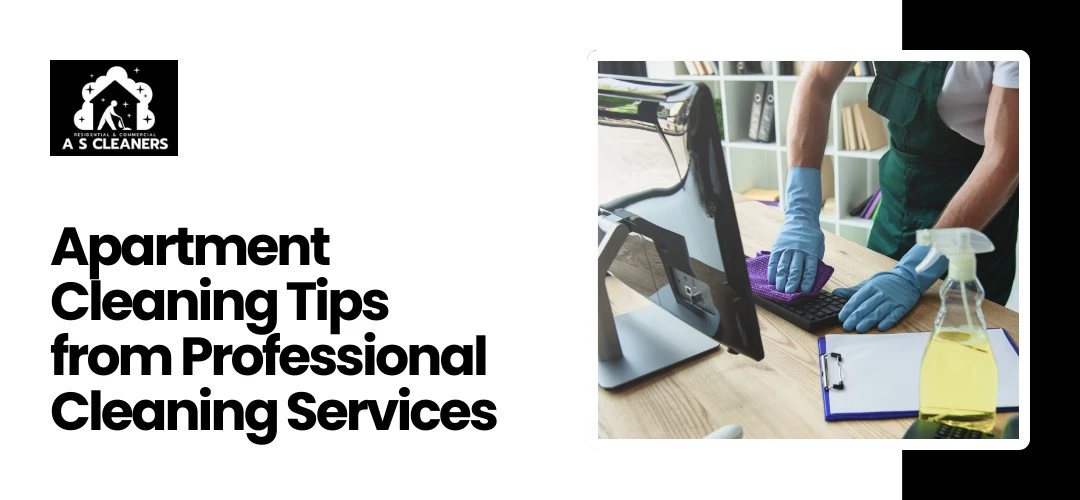 Professional Cleaning Services Scarborough